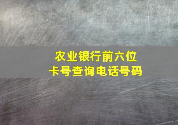 农业银行前六位卡号查询电话号码