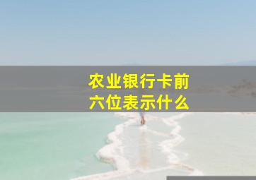 农业银行卡前六位表示什么