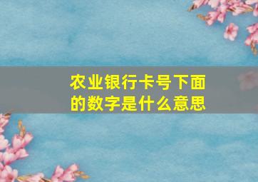 农业银行卡号下面的数字是什么意思