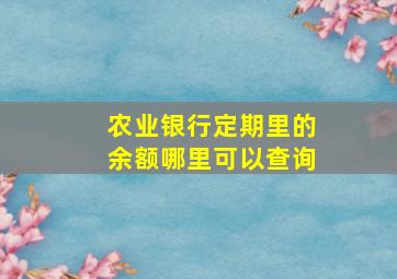 农业银行定期里的余额哪里可以查询