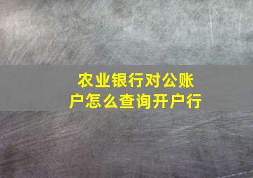 农业银行对公账户怎么查询开户行