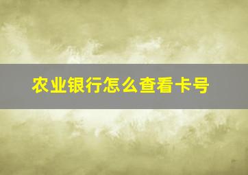 农业银行怎么查看卡号