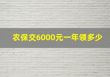 农保交6000元一年领多少