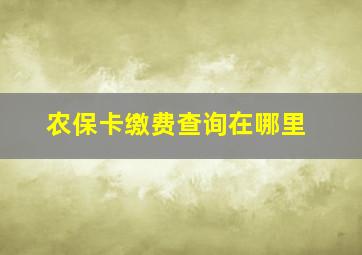 农保卡缴费查询在哪里