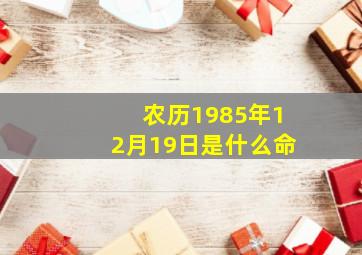 农历1985年12月19日是什么命