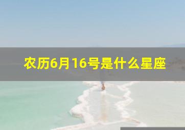 农历6月16号是什么星座