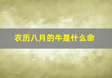 农历八月的牛是什么命