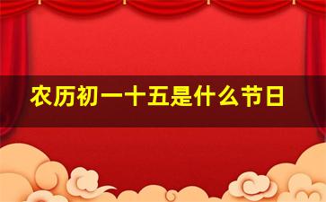 农历初一十五是什么节日