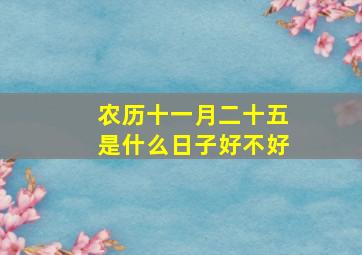 农历十一月二十五是什么日子好不好