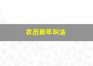 农历新年叫法