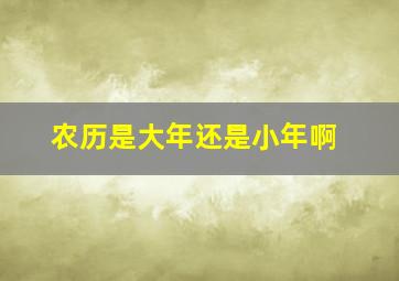 农历是大年还是小年啊