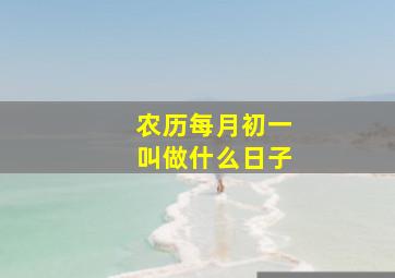 农历每月初一叫做什么日子