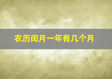 农历闰月一年有几个月