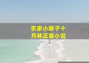 农家小娘子十月林正版小说