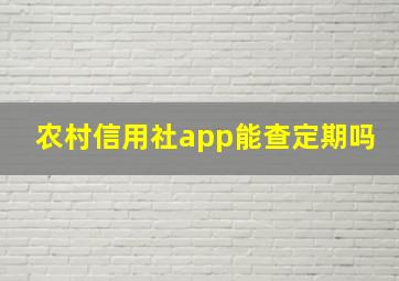 农村信用社app能查定期吗