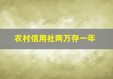 农村信用社两万存一年