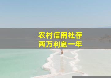 农村信用社存两万利息一年