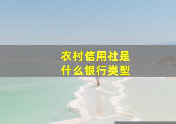 农村信用社是什么银行类型