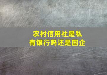 农村信用社是私有银行吗还是国企