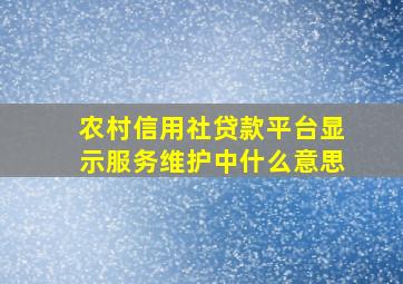 农村信用社贷款平台显示服务维护中什么意思