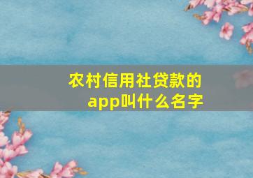 农村信用社贷款的app叫什么名字