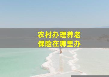 农村办理养老保险在哪里办