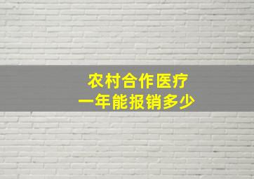 农村合作医疗一年能报销多少