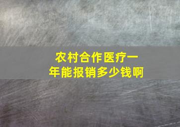 农村合作医疗一年能报销多少钱啊