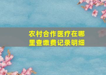 农村合作医疗在哪里查缴费记录明细