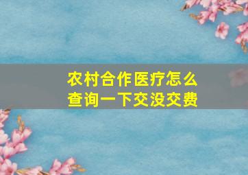 农村合作医疗怎么查询一下交没交费