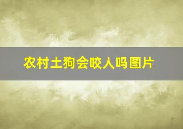 农村土狗会咬人吗图片