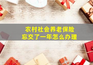 农村社会养老保险忘交了一年怎么办理