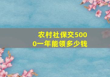 农村社保交5000一年能领多少钱