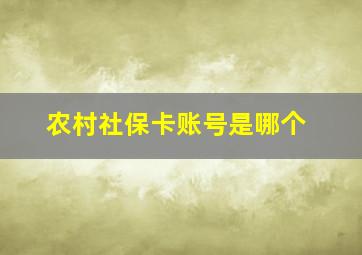 农村社保卡账号是哪个