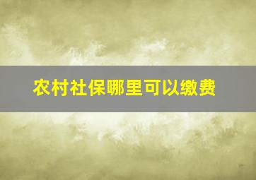 农村社保哪里可以缴费