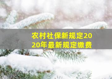 农村社保新规定2020年最新规定缴费