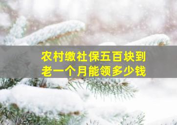 农村缴社保五百块到老一个月能领多少钱