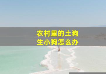 农村里的土狗生小狗怎么办