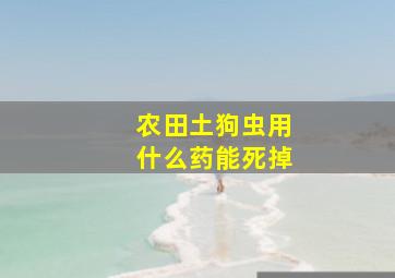 农田土狗虫用什么药能死掉