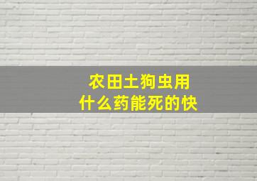 农田土狗虫用什么药能死的快