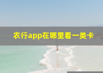 农行app在哪里看一类卡