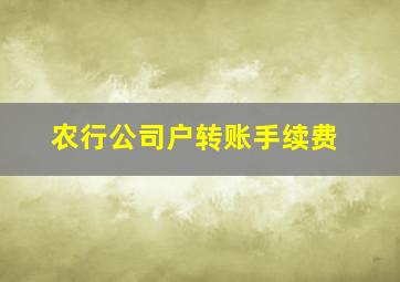 农行公司户转账手续费