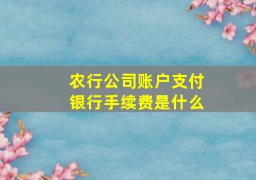 农行公司账户支付银行手续费是什么