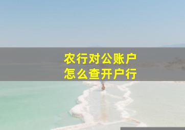 农行对公账户怎么查开户行