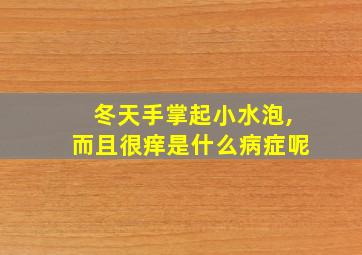 冬天手掌起小水泡,而且很痒是什么病症呢