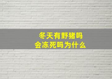 冬天有野猪吗会冻死吗为什么