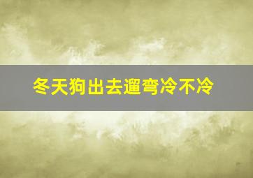 冬天狗出去遛弯冷不冷