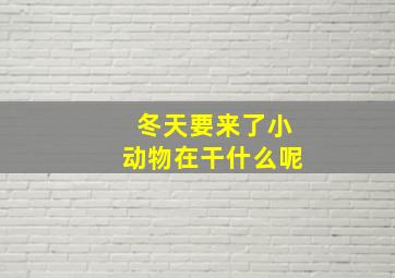 冬天要来了小动物在干什么呢