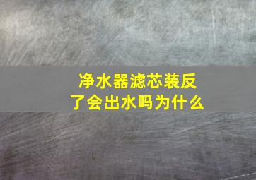 净水器滤芯装反了会出水吗为什么