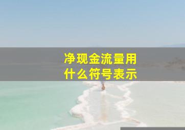 净现金流量用什么符号表示